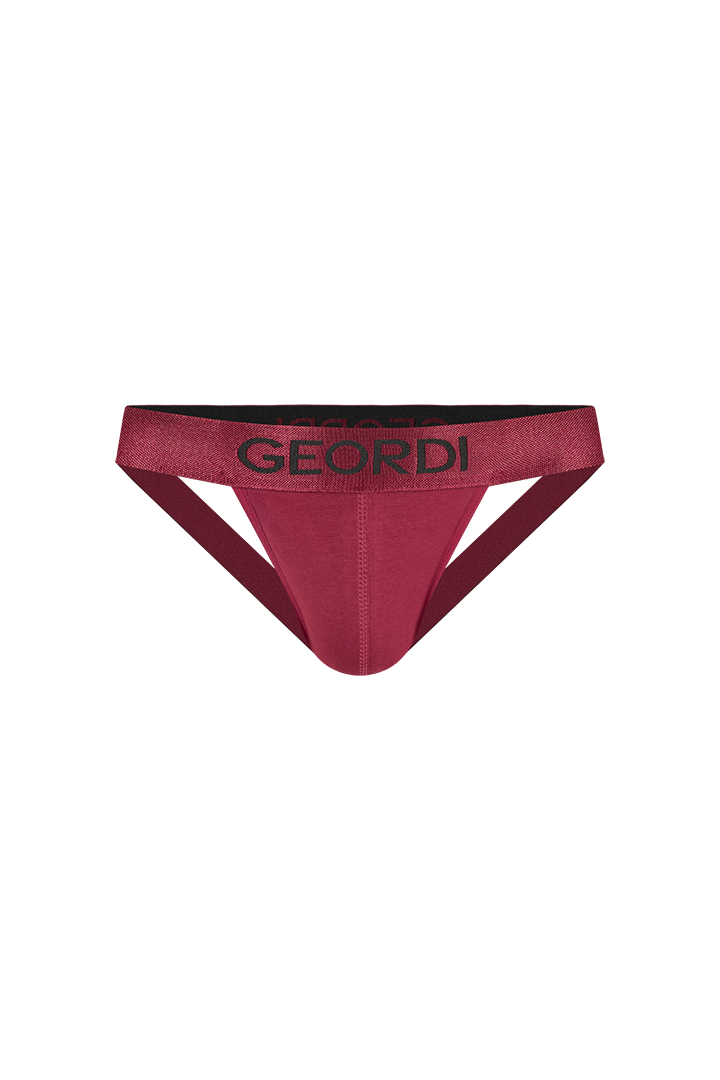 Brief en Malla Microfibra Fondo Entero Geordi Palacio Del Blumer Palacio del Blumer