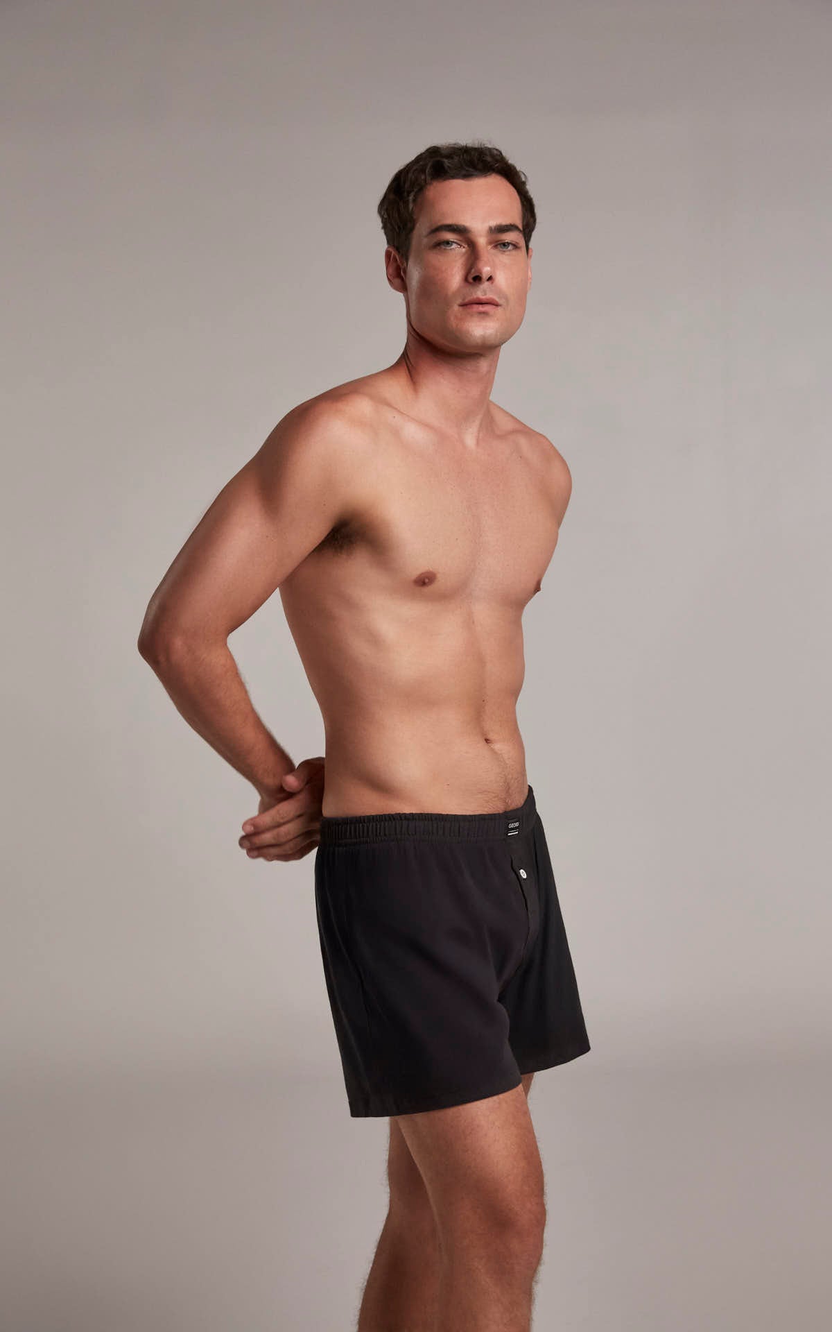 Bóxer suelto Geordi (GG04C8)