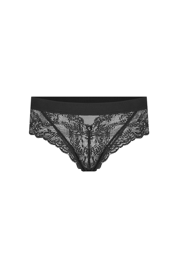 Panty hipster (010408)